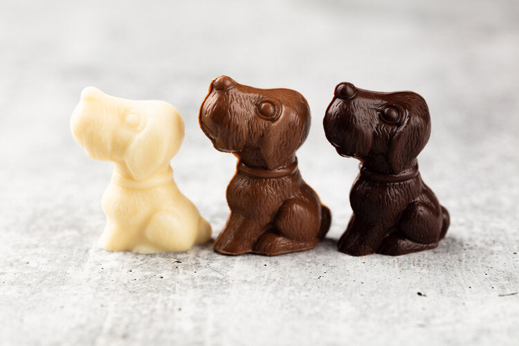 Dark Chocolate Dogs Teuscher Chocolates