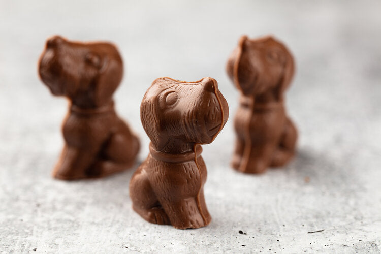 Milk Chocolate Dogs - Teuscher Chocolates