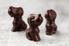 Load image into Gallery viewer, Dark Chocolate Dogs
